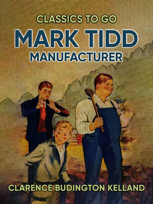cover image of Mark Tidd, Manufacturer